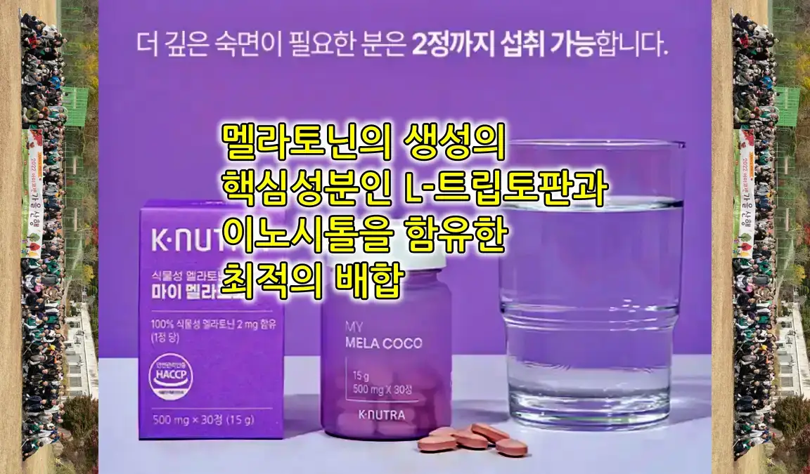 효소 섭취 전략으로 질환별 증상 개선하는 건강 전략 가이드