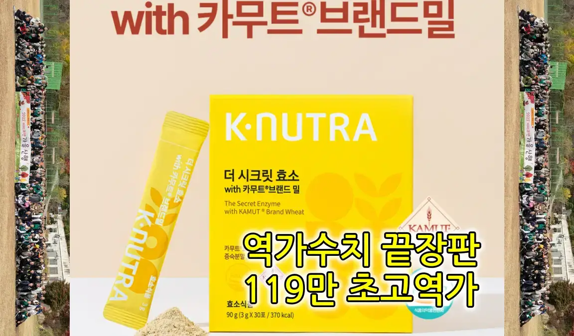 효소 종류 기능 완벽 가이드: 소화불량·면역력·피로, 맞춤 섭취로 건강 회복하기